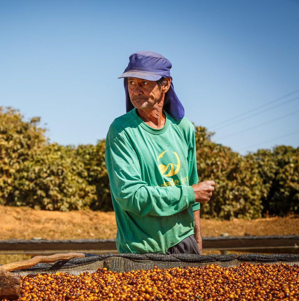 brazil specialty coffee