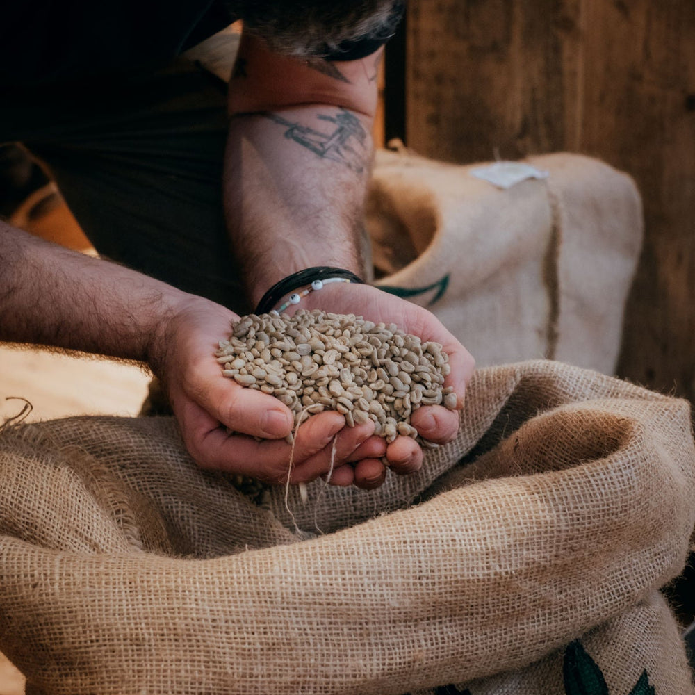 Kaffee aus Guatemala: Ein Schatz aus dem Hochland