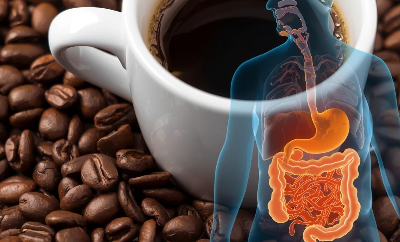 Sodbrennen von Kaffee symbolisch dargestellt mit Anatomie des Menschen vor Kaffeetasse