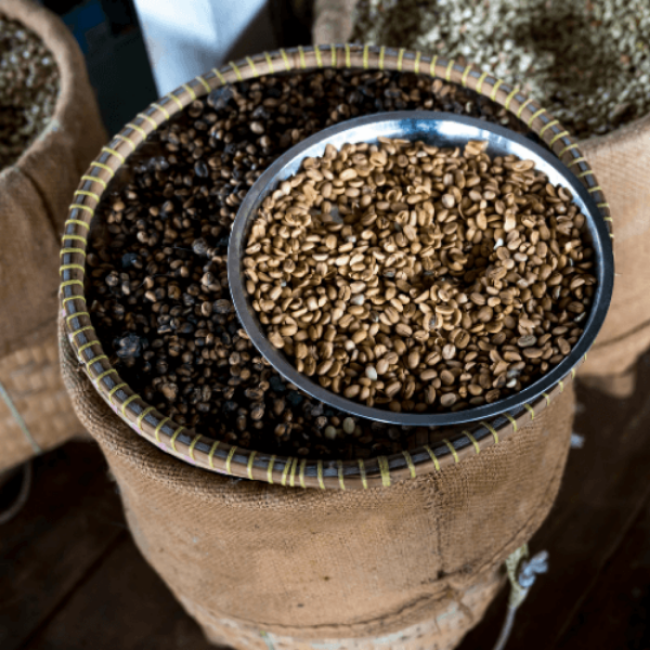 Cafe Crema Arabica und Robusta