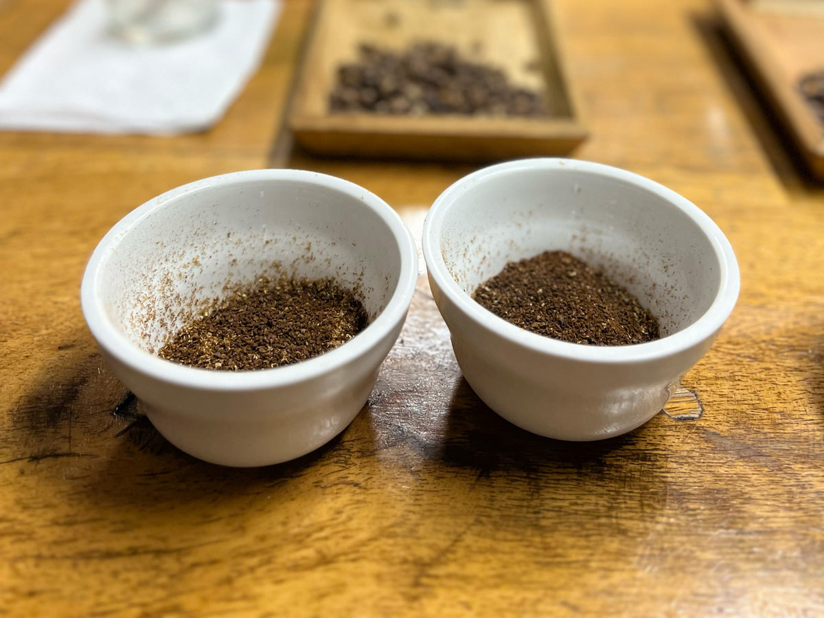 Cupping-im-Ursprungsland-Nöörd-Specialty-Coffee