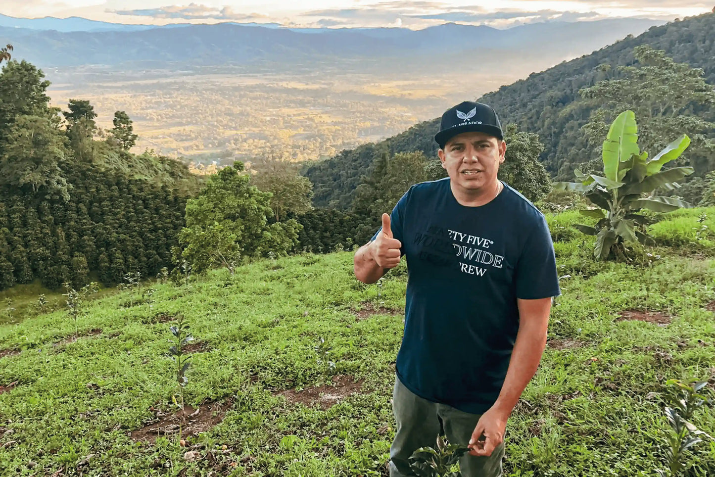 
                  
                    Colombia  Finca El Mirador Strawberry
                  
                