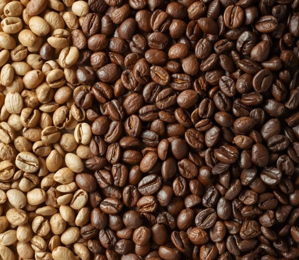 B2B Kaffee Bohnen mit unterschiedlichen Röstprofilen nebeneinander