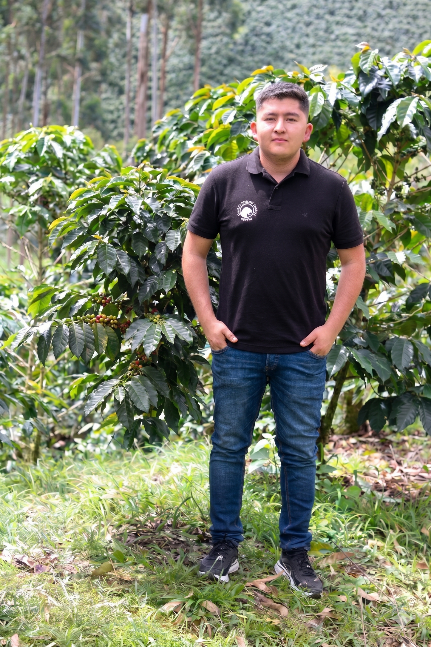 
                  
                    Colombia Yellow Mango
                  
                